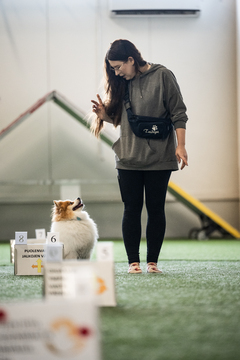 Treenikuvauspäivä kevään 2026 viikkoryhmäläisille