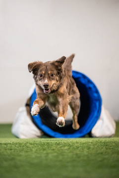 Agilityn ongelmaklinikka