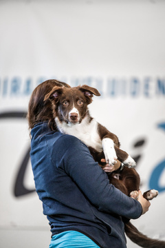 Vilkkaat teinit - kurssi