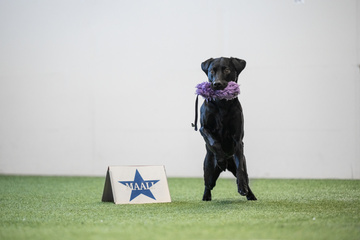 Rally-TOKOn Jatkokurssi A