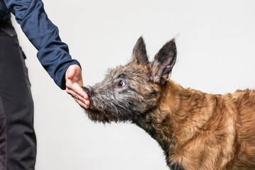 Pitkäkestoisen käsikosketuksen kouluttaminen