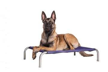 Kangashäkkiin -koulutus