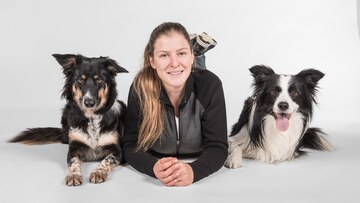 Kahden koiran kouluttaminen vuorotellen