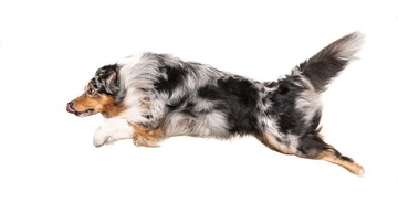 Agilityn TehoTiimi -valmennus